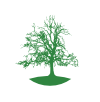 Terworm Fish Farm logo - Rene Verkaart